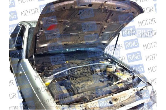 Упоры капота ТехноМастер для Daewoo Nexia с 2005 г.в.