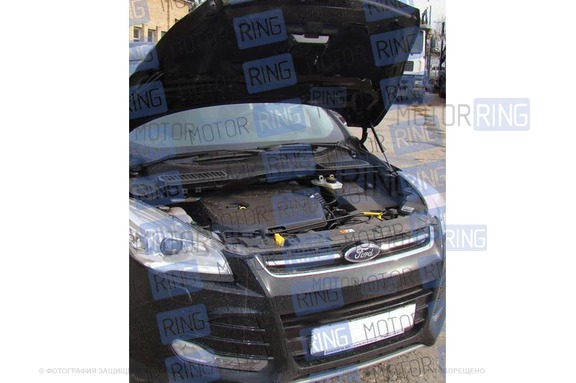 Упор капота ТехноМастер для Ford Kuga 2 (2013)