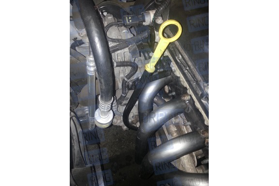 Паук 4-1 Stinger sport на Opel Astra J 1.6L (A16XER)