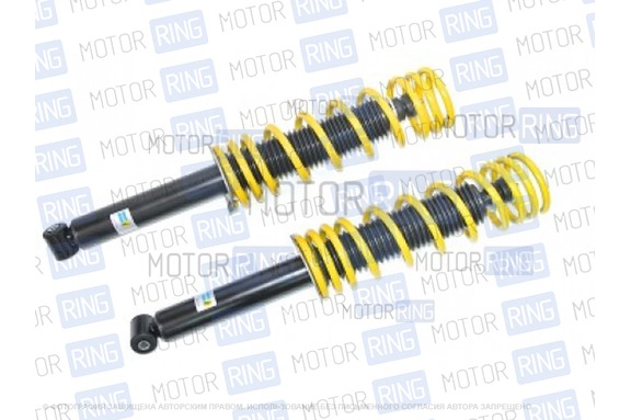 Комплект задней подвески в сборе BILSTEIN (Бильштайн), масляные для Лада Приора