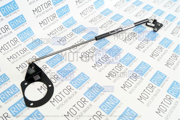 Упор капота ТехноМастер для Ford Fiesta V 2001-2009 г.в.