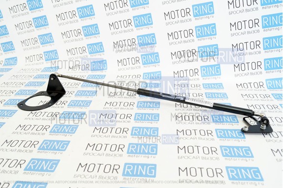 Упор капота ТехноМастер для Ford Fiesta V 2001-2009 г.в.
