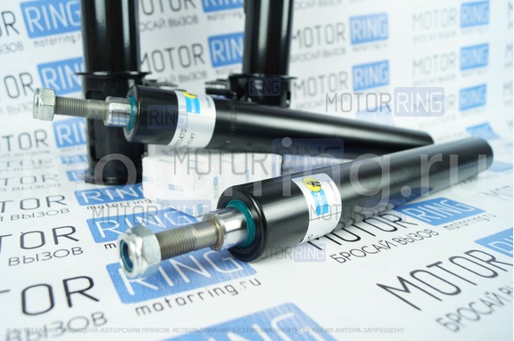 Стойки передней подвески BILSTEIN (Бильштайн) масляные для Лада Калина, Калина 2
