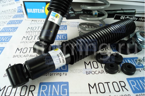 Комплект задней масляной подвески в сборе BILSTEIN (Бильштайн) для Лада Калина, Калина 2