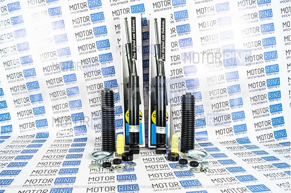 Амортизаторы задней подвески BILSTEIN масляные для Лада Гранта