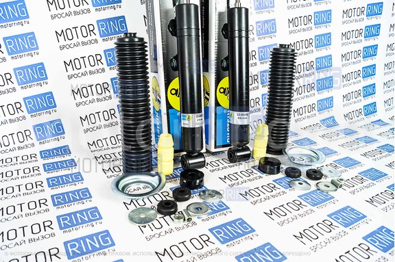Амортизаторы задней подвески BILSTEIN масляные для Лада Гранта