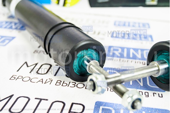 Амортизаторы задней подвески BILSTEIN масляные для Лада Гранта