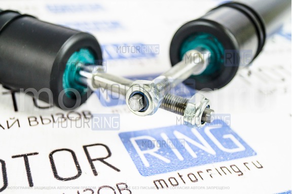 Амортизаторы задней подвески BILSTEIN масляные для Лада Гранта
