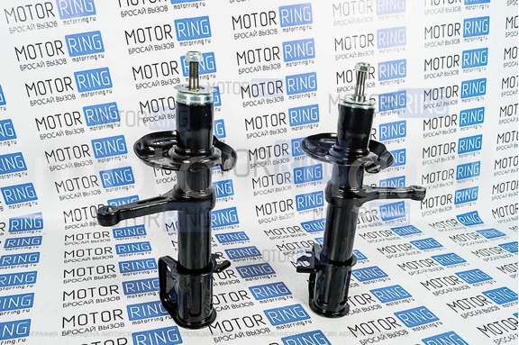 Стойки передней подвески BILSTEIN масляные для Лада Гранта