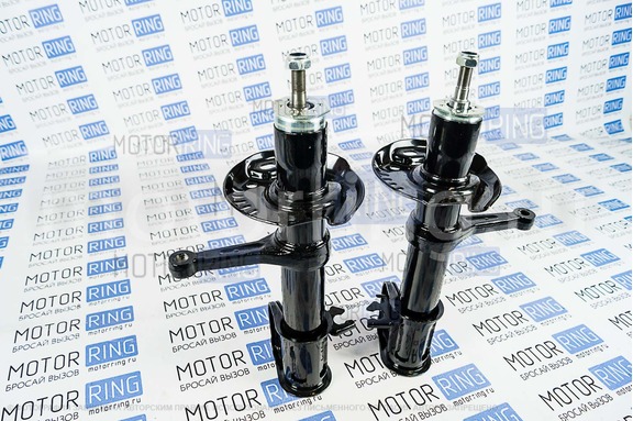 Стойки передней подвески BILSTEIN масляные для Лада Гранта