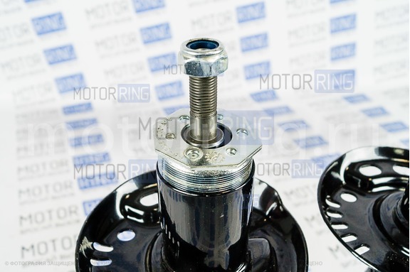 Стойки передней подвески BILSTEIN масляные для Лада Гранта
