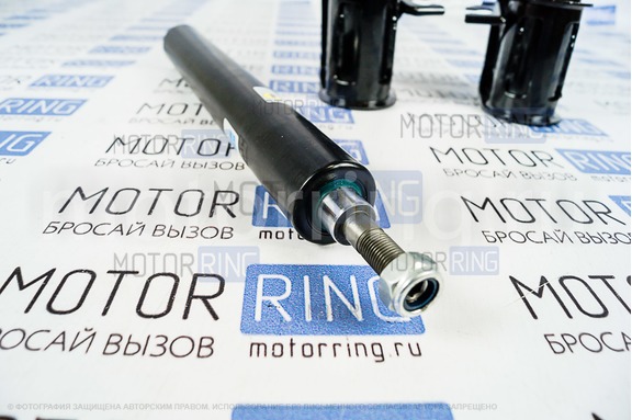 Стойки передней подвески BILSTEIN масляные для Лада Гранта