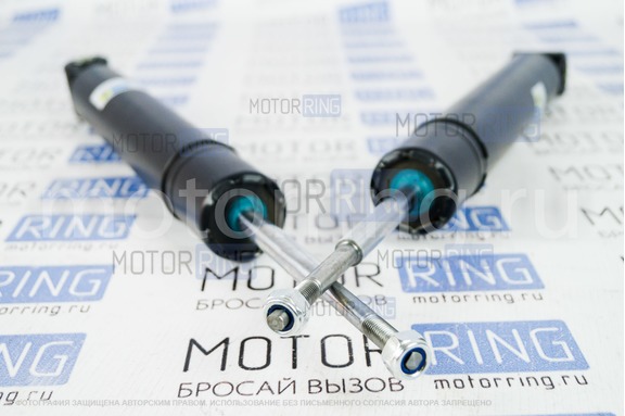Комплект задней подвески в сборе BILSTEIN (Бильштайн), масляные ВАЗ 2110-2112.