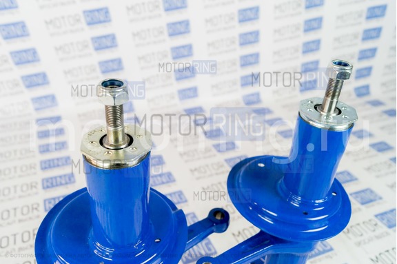 Стойки передней подвески BILSTEIN (Бильштайн), масляные ВАЗ 2108-21099, 2113-2115