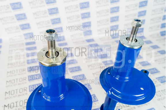Стойки передней подвески BILSTEIN (Бильштайн), масляные ВАЗ 2108-21099, 2113-2115