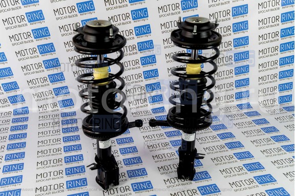 Стойки передней подвески в сборе BILSTEIN (Бильштайн), масляные ВАЗ 2110-2112.