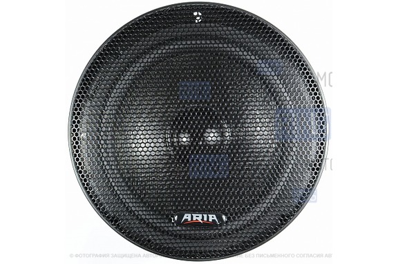 Колонки ARIA TL-T1653N