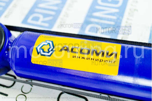 Газомасляные амортизаторы задней подвески АСОМИ КомфортPRO для Лада Икс Рей