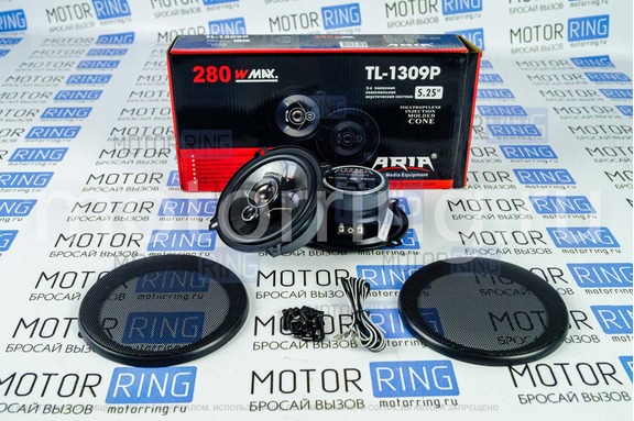 Колонки ARIA TL - 1309P