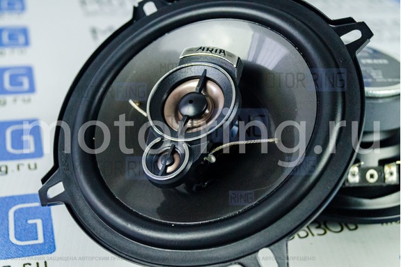 Колонки ARIA TL - 1309P