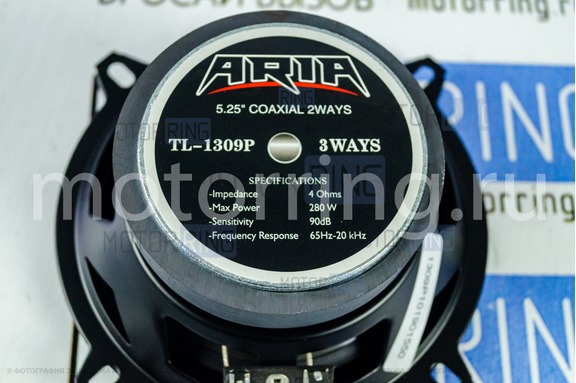 Колонки ARIA TL - 1309P