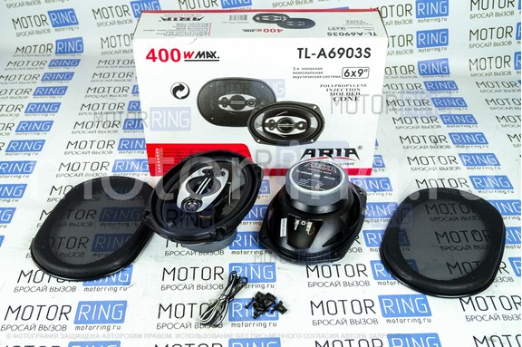 Колонки ARIA TL-A6903S