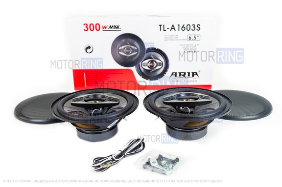 Колонки ARIA TL-A1603S