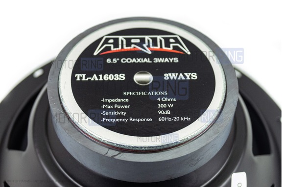 Колонки ARIA TL-A1603S
