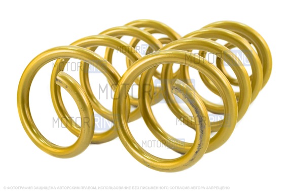 Пружины холодной навивки задней подвески SS20 Gold Progressive (переменный шаг) для Лада Веста