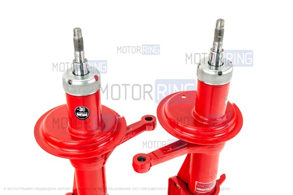 Передние стойки SS20 Racing серии Комфорт с занижением 30мм для ВАЗ 2108-21099, 2110-2112, 2113-2115