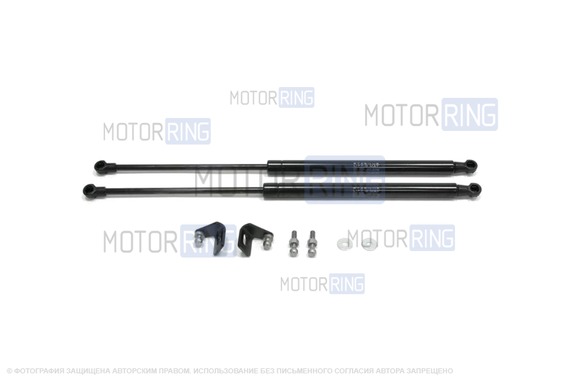 Амортизаторы капота АвтоУпор для Skoda Rapid, Volkswagen Polo с 2012 г.в.