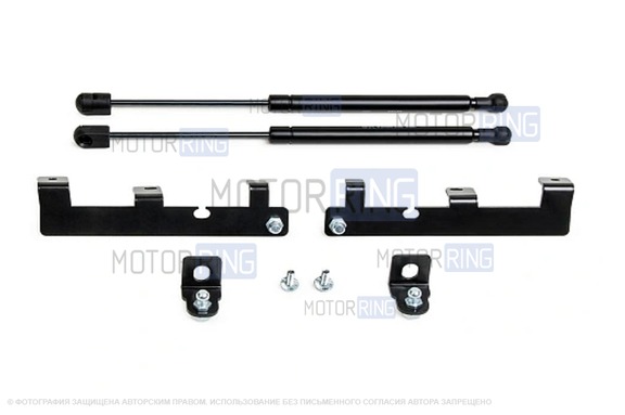 Комплект газовых упоров капота Pneumatic для Hyundai Creta