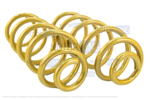 Пружины холодной навивки задней подвески SS20 Gold Progressive (переменный шаг) для Лада Веста