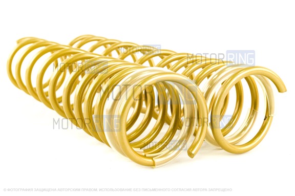 Пружины холодной навивки задней подвески SS20 Gold Progressive (переменный шаг) для ВАЗ 2108-21099, 2113-2115