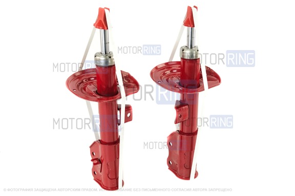 Стойки передние газомасляные DEMFI Премиум с занижением 50 мм для Лада Веста