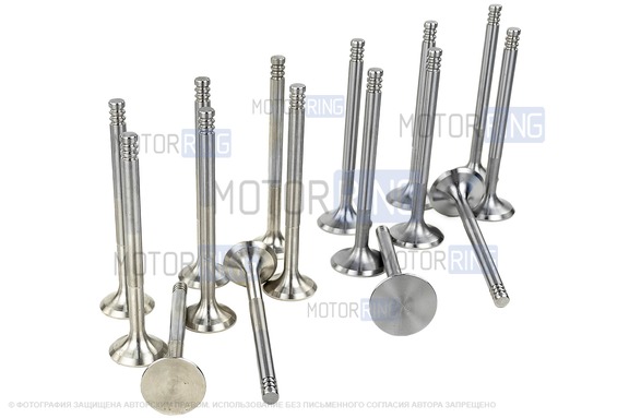 Комплект клапанов для 16 кл ВАЗ 2110-2112, 2113, 2114, Лада Приора, Калина, Калина 2, Гранта, Гранта FL, Ларгус, Ларгус FL, Веста, Веста NG, Икс Рей, Искра, Нива Спорт