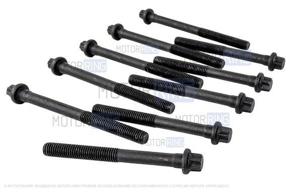 Комплект болтов ГБЦ BYSUN PARTS для 8 кл Лада Ларгус