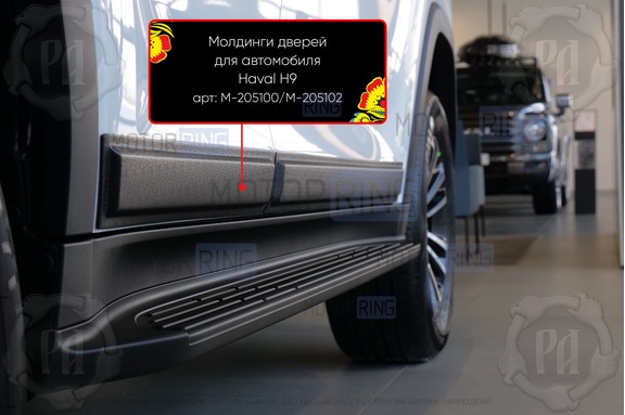 Молдинги на двери Русская Артель для Haval H9 с 2024 г.в.