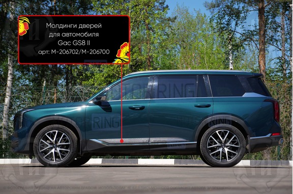 Молдинги на двери Русская Артель для GAC GS8 с 2021 г.в.