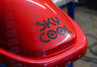 Лыжный автобокс Sky Cool EuroLock