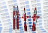 Комплект газомасляных стоек и амортизаторов DEMFI Премиум для Лада Икс Рей