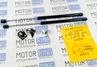 Газовые упоры капота для Лада Икс Рей