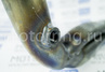 Паук 4-2-1 Stinger Auto для Chevrolet Cruze 1.6L (Корея)