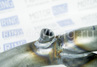 Паук 4-2-1 Stinger Auto для Chevrolet Cruze 1.6L (Корея)