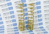 Пружины холодной навивки задней подвески SS20 Gold Progressive (переменный шаг) для ВАЗ 2110, 2112, Приора седан и хэтчбек