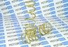 Пружины холодной навивки передней подвески SS20 Gold Progressive (переменный шаг) для 8 кл ВАЗ 2108-21099, 2113-2115, 2110-2112