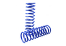 Пружины задней подвески АСОМИ Sport с занижением 50 мм для ВАЗ 2110-2112, Лада Калина, Калина 2, Гранта, Гранта FL, Приора, Датсун