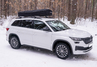 Складной автовтобокс ArmBox300 на крышу тканевый лыжный с креплением на П-скобах
