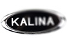 Светодиодный шильдик Sal-Man с белой надписью Kalina для Лада Калина 2