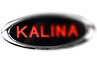 Светодиодный шильдик Sal-Man с красной надписью Kalina для Лада Калина 2